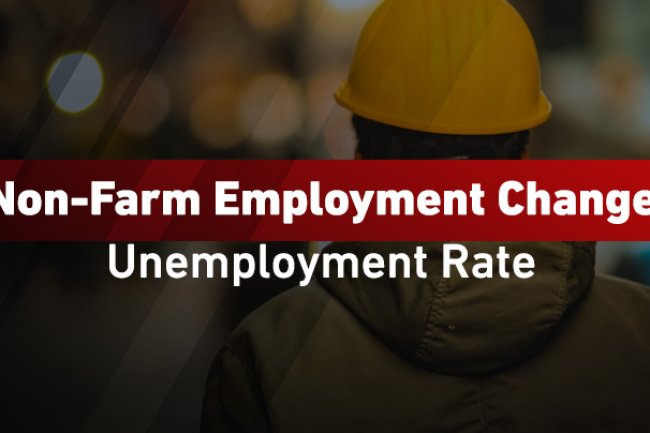 تقرير التوظيف بالقطاع الخاص ومعدل البطالة