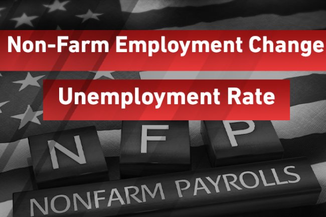 تقرير التوظيف بالقطاع الخاص ومعدل البطالة