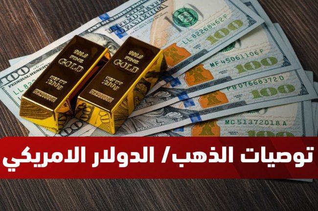 أفضل موقع توصيات الذهب اليومية - تحليلات خبراء فايبر 