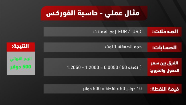 كيفية استخدام حاسبة الفوركس؟ انفوجرافيك