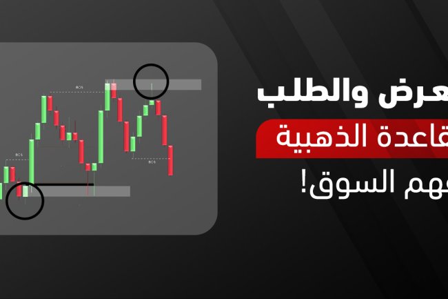 العرض والطلب: تعريف، أمثلة، قانون التوازن والأسعار
