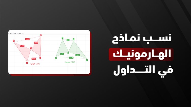 ما هي نسب نماذج الهارمونيك؟