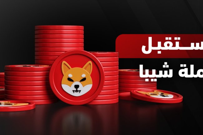 مستقبل عملة شيبا إينو 2025 – 2030 | هل عملة شيبا لها مستقبل؟