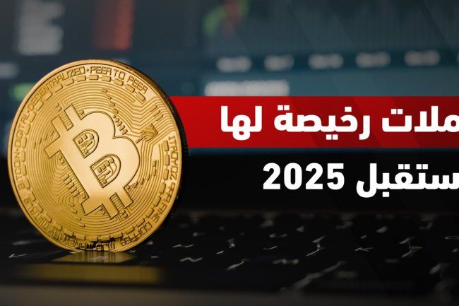 عملات رقمية رخيصة لها مستقبل واعد في 2025: فرص استثمارية وتحليلات