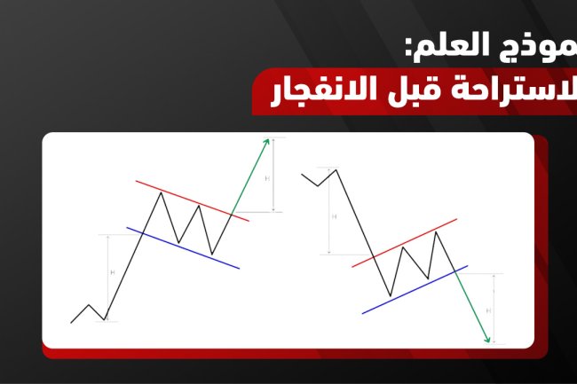 نموذج العلم: أنواعه، شروطه، واستخداماته في التداول 